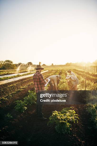 trabajando juntos para mantener la producción de la granja - farm australia combine fotografías e imágenes de stock