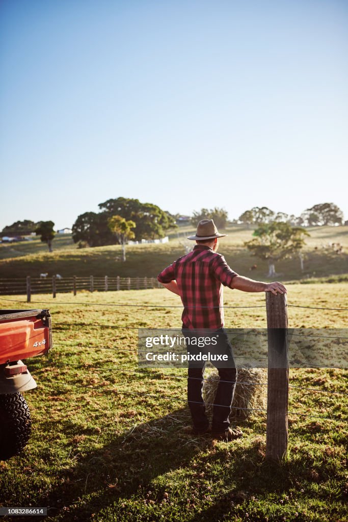 Tenere d'occhio la mandria