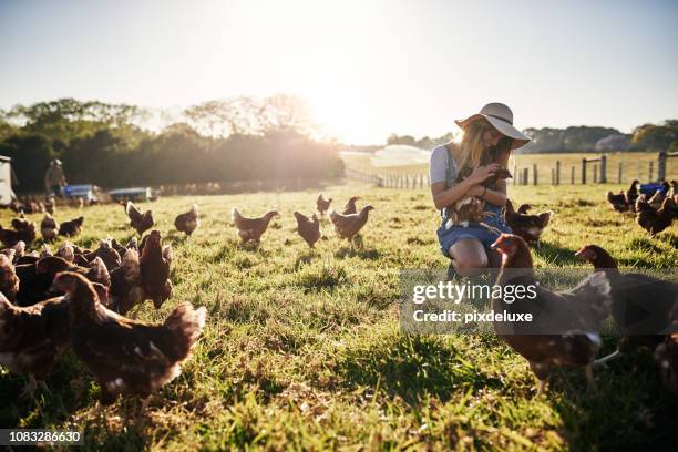 hon älskar arbete på gården - farmers australia bildbanksfoton och bilder