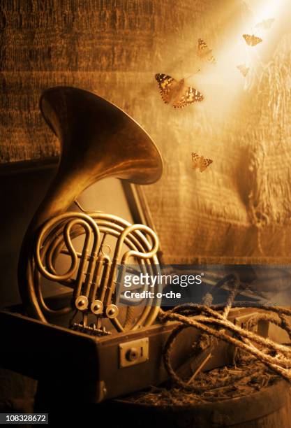 french horn musik vergessen - blechblasinstrument stock-fotos und bilder