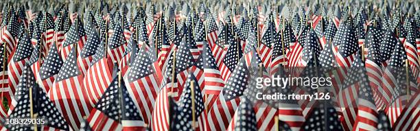 panoramic image of an array of memorial day flags - war memorial holiday stock pictures, royalty-free photos & images