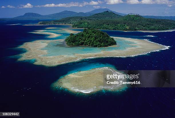 エキゾ��チックな島 - パプアニューギニア ストックフォトと画像