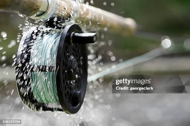 fly fishing action - fishing line stock pictures, royalty-free photos & images