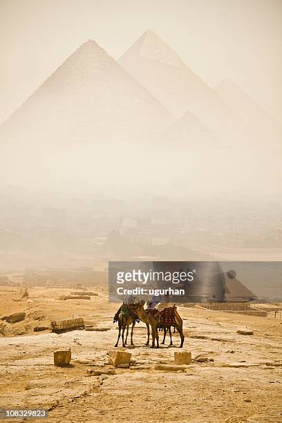 pyramids - pyramid giza stock pictures, royalty-free photos & images