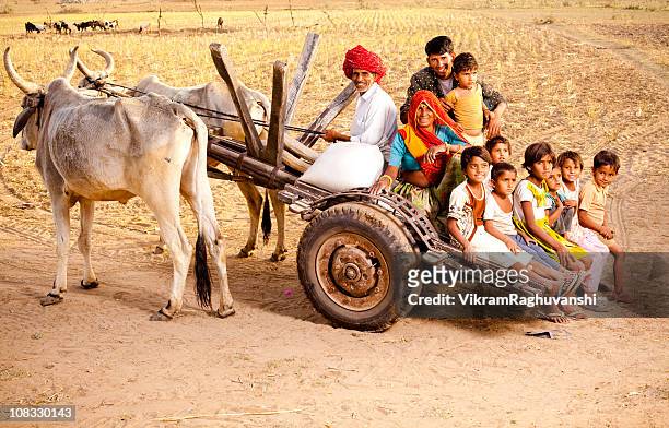 rajasthani rural family enjoying a bullock cart ride in rajasthan - rajasthani youth stock pictures, royalty-free photos & images