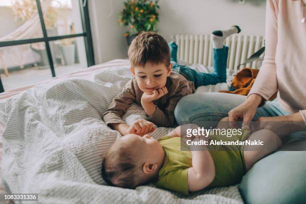 baby care - sibling stock pictures, royalty-free photos & images
