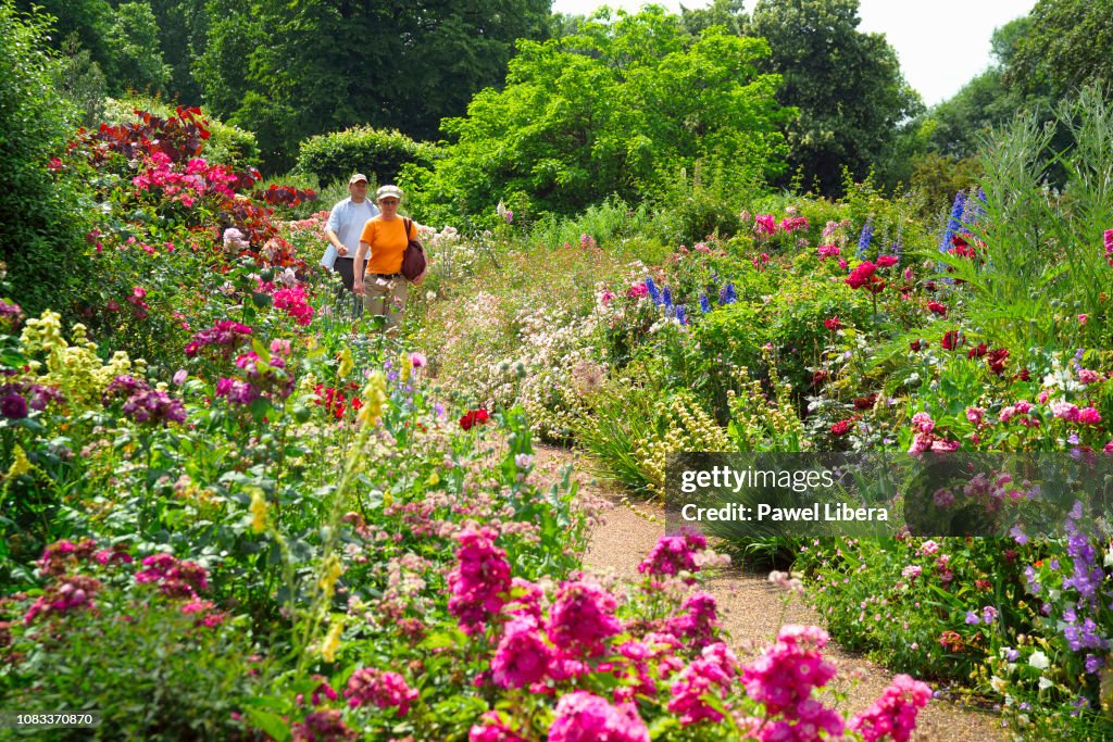 A middle age couple walking amongst summer flowers in London...