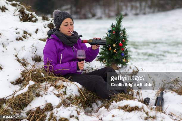single woman celebrating christmas on manure pile - ontlasting van dieren stockfoto's en -beelden