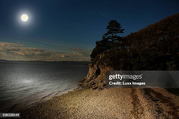 coastal scene by moonlight - maanlicht stockfoto's en -beelden