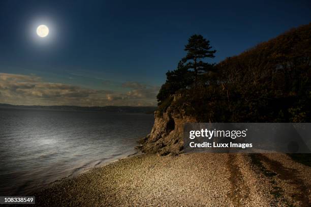 coastal scene by moonlight - moonlight stock pictures, royalty-free photos & images