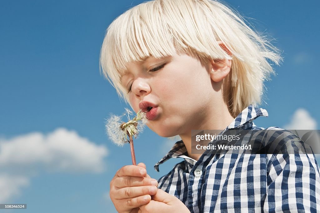 Germany, Cologne, Boy (2-3 Years) blowing dandelion