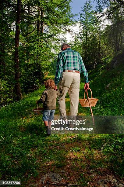 porcini mushroom picking - hand holding stick stock pictures, royalty-free photos & images