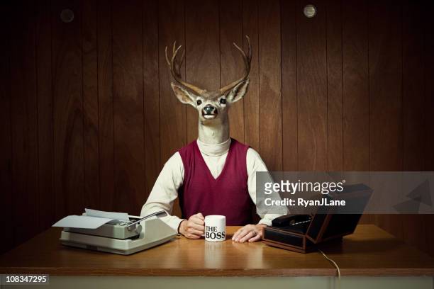deer ceo at his desk - bizarre fotos stockfoto's en -beelden