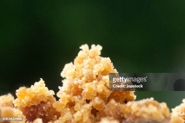 muscovado brown sugar - turbinadosocker bildbanksfoton och bilder