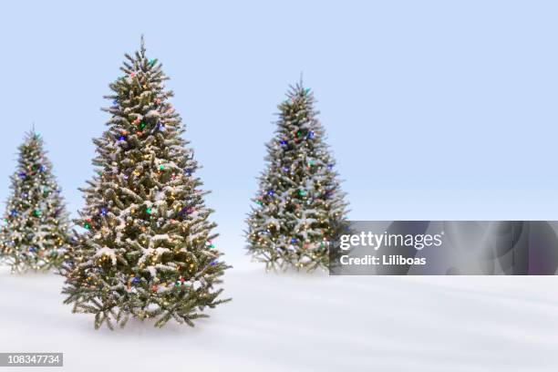 christmas trees in the snow - decorated christmas trees outside stockfoto's en -beelden