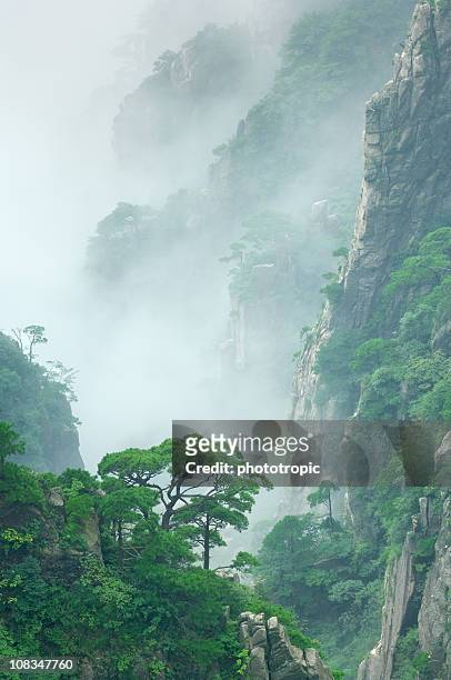 pine trees de nuage sur le mont huangshan - saillie rocheuse photos et images de collection
