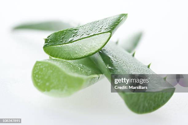 aloe vera macro - aloe stock pictures, royalty-free photos & images