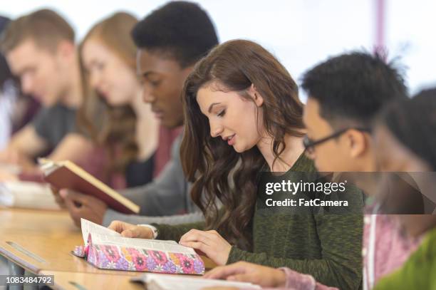 het lezen van romans - bijbel stockfoto's en -beelden