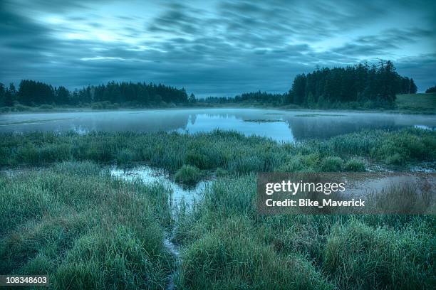landscape overview of misty lake at dusk - swamp stock pictures, royalty-free photos & images