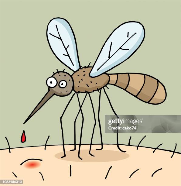 ilustrações, clipart, desenhos animados e ícones de mosquito de mão desenhada dos desenhos animados - mosquito