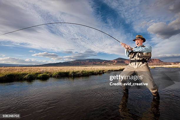 Fish On High-Res Stock Photo