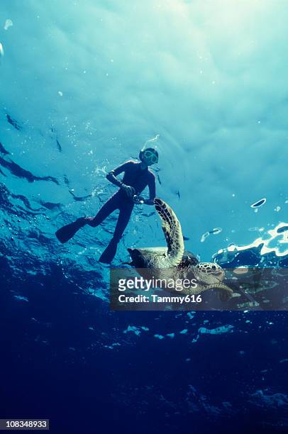 boy and green sea turtle - turtle stock pictures, royalty-free photos & images