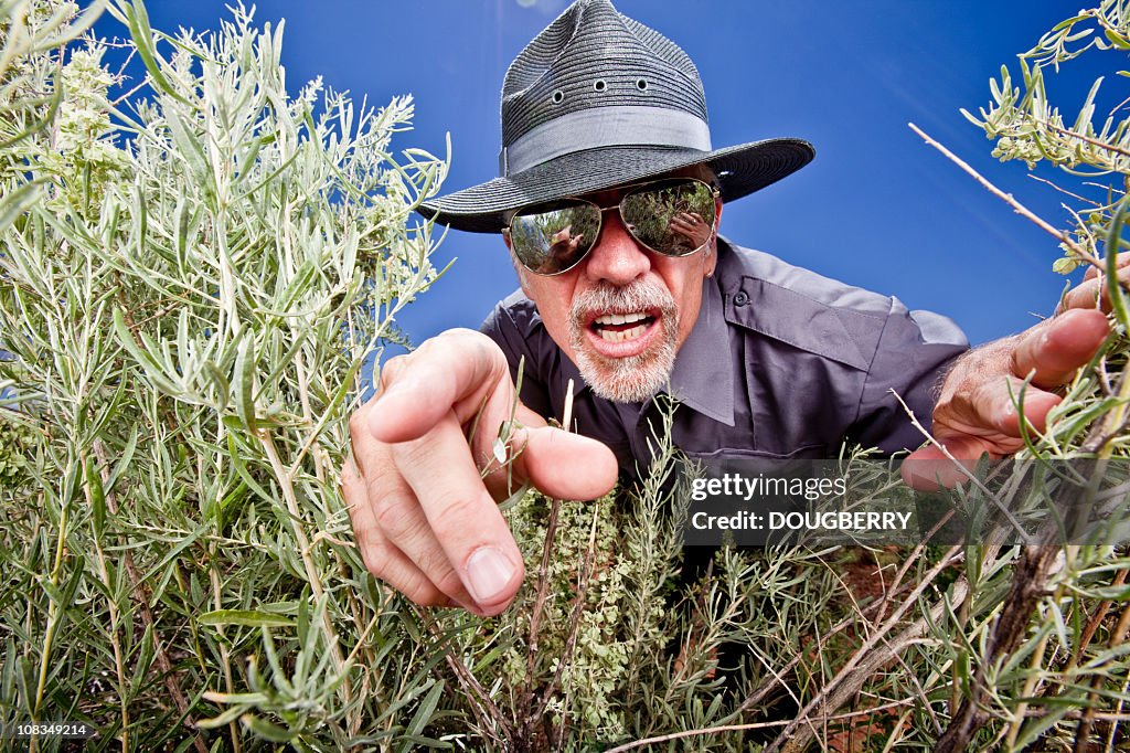 Busted HighRes Stock Photo Getty Images