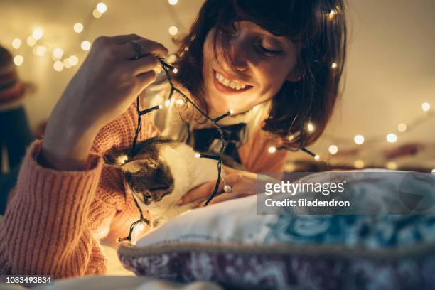 woman, cat and christmas lights - cat hipster no stock pictures, royalty-free photos & images