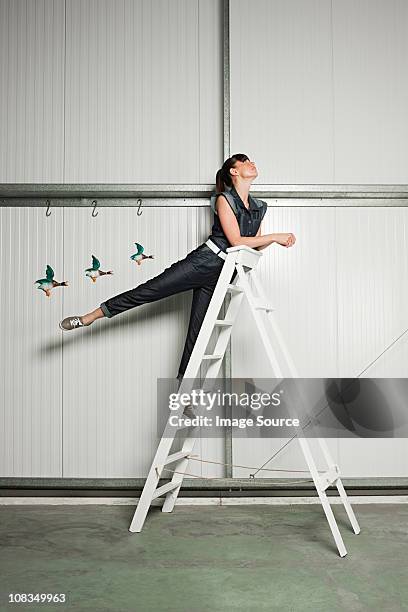 young woman on stepladders with flying ducks on wall - step ladder stock pictures, royalty-free photos & images