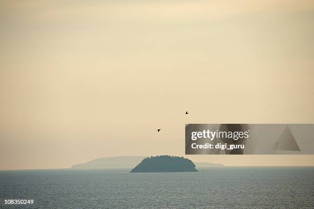 tobermory islands, fathom five national park - manitoulin stock pictures, royalty-free photos & images