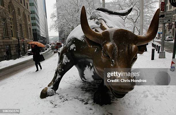 Woman walks past the bronze bull statue near Wall Street in lower Manhattan January 26, 2011 in New York City. The winter storm is expected to dump...