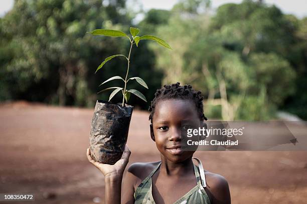 アフリカの少女マンゴーの木を植える - アフリカ　子供 ストックフォトと画像