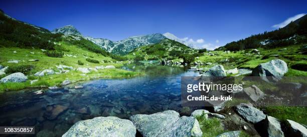 river in pirin mountains - pirin mountains stock pictures, royalty-free photos & images