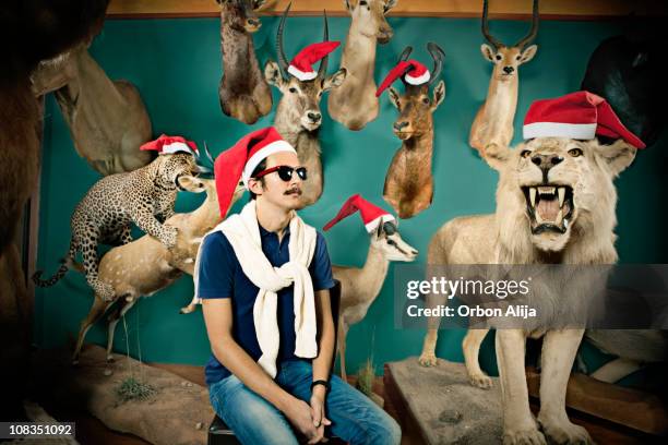 xmas animals - taxidermy stock pictures, royalty-free photos & images