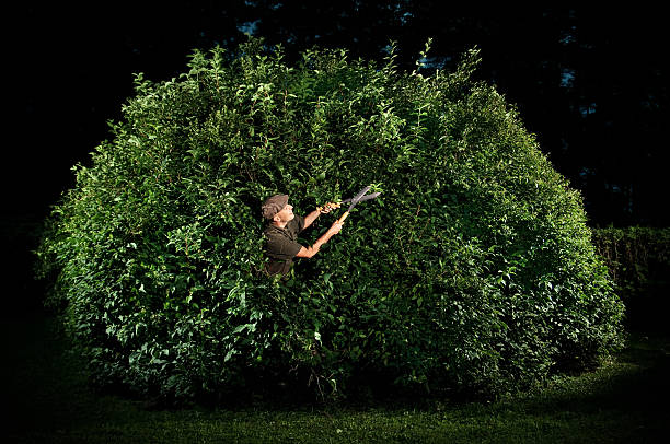 Catching Bush 19,626 Man In Bushes Stock Photos, High-Res Pictures, and Images ...