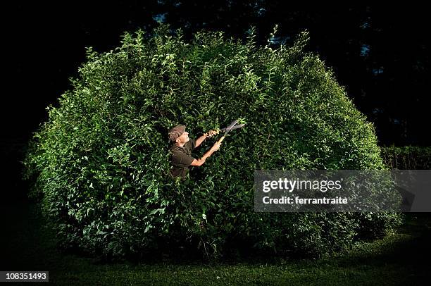 gardener trimming big bush - tree pruning stock pictures, royalty-free photos & images