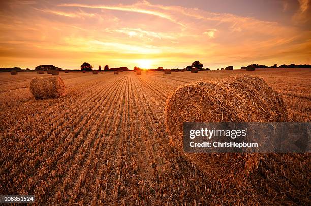 hay bale sunset - bale stock pictures, royalty-free photos & images