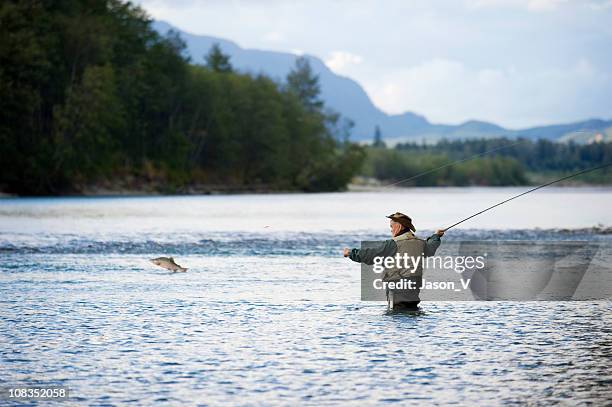 fisherman with fish jumping - salmon jumping stockfoto's en -beelden