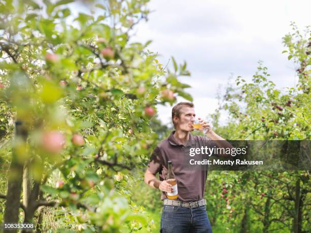 farmer drinking cider in orchard - apple juice stock pictures, royalty-free photos & images