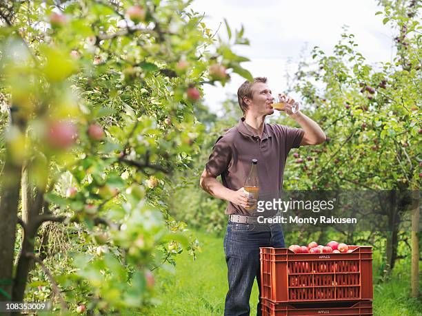 farmer drinking cider in orchard - apple juice stock pictures, royalty-free photos & images
