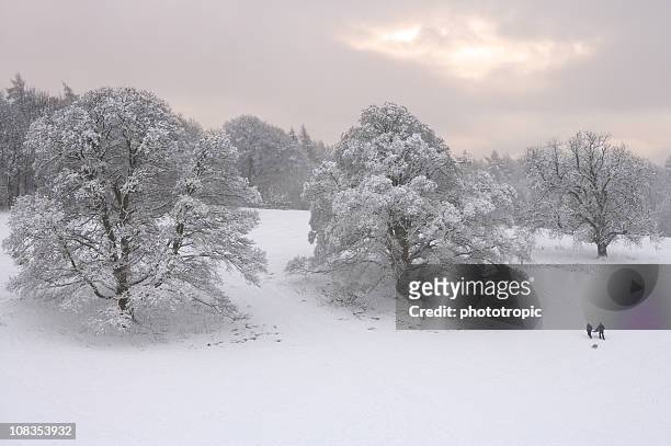 winter-landschaft - hügelkette chiltern hills stock-fotos und bilder