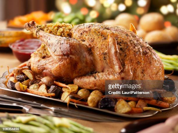 pavo al horno la cena en navidad tiempo - christmas turkey fotografías e imágenes de stock