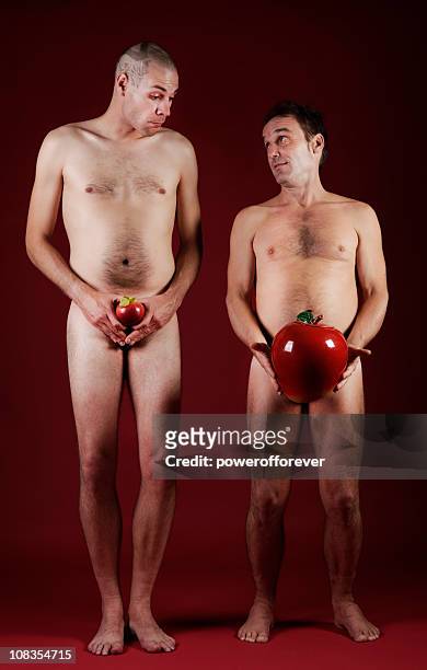 comparaison des pommes - penis humour photos et images de collection