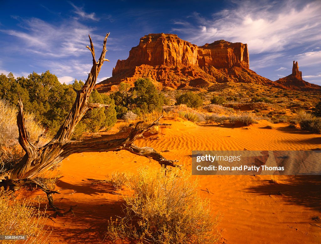 Arches National Park