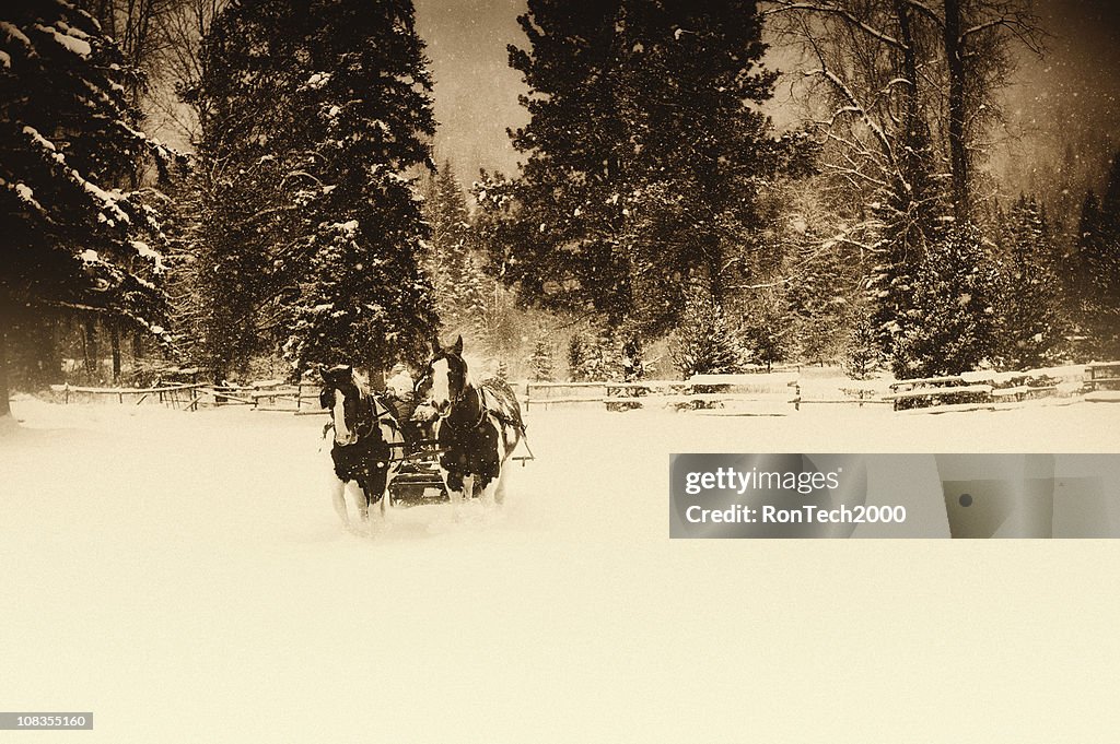 Corrida de trenó na Neve