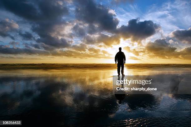 xxl solitude beach silhouette - god worship stock pictures, royalty-free photos & images