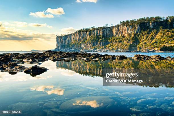 une réflexion de falaises côtières vd702 - corée du sud photos et images de collection