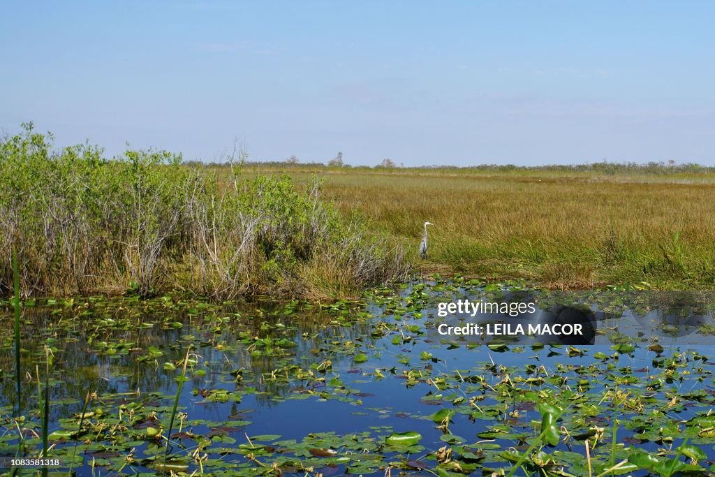 US-BUDGET-POLITICS-PARKS-FLORIDA-EVERGLADES