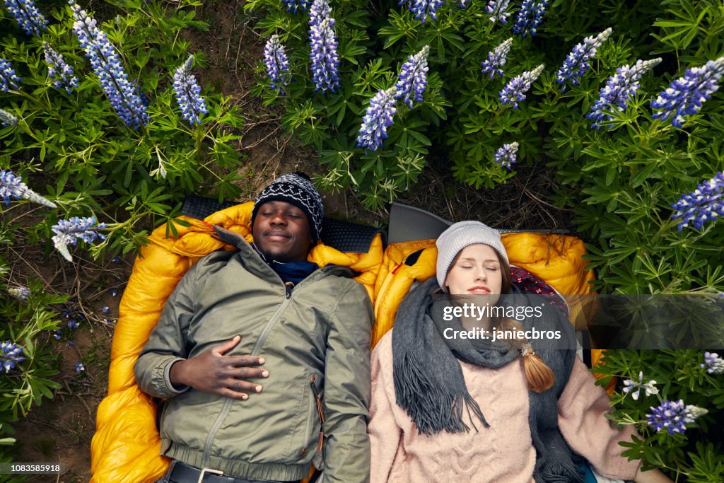 Multi ethnic couple admiring blooming lupine flowers. Lying on the ground