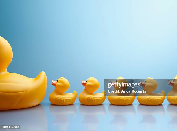 mother rubber duck leading several rubber ducklings - duck stockfoto's en -beelden